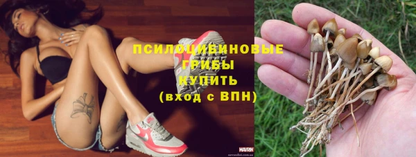 mdpv Козельск